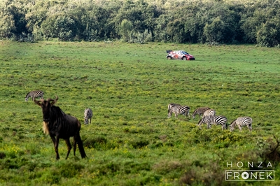 Sami Pajari - Marko Salminen
74º Safari Rally Kenya 2026. Toyota GR Yaris Rally1 (A-7657). Clasificado 3º.
Toyota Gazoo Racing WRT

Del 12 al 15 de Marzo, Naivasha.
Superficie: tierra.

El Rally constaba de 4 etapas con un total de 1205.46 km de los que 338.34 km divididos en 20 tramos eran cronometrados.

Tomaron la salida 41 equipos, finalizaron 29.

© Honza Fronek

Palabras clave: Toyota;Yaris;Rally1;Kenya;2026
