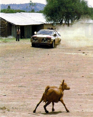 Hannu Mikkola - Arne Hertz
31º Marlboro Safari Rally 1983. Audi Quattro A1 (IN-YC 17). Clasificado 2º.

Del 30 de Marzo al 4 de Abril, Nairobi, Kenya, África.
Superficie: tierra.

El Rally tenia un total de 5035 km en los que 1620.95 km se encontraban 26 controles horarios.

Tomaron la salida 78 equipos, finalizaron 22.@
Palabras clave: ;Audi;Quattro;Grupo_B;Safari;1983
